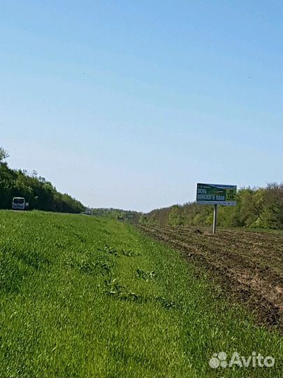 Аренда рекламного щита (билборд)