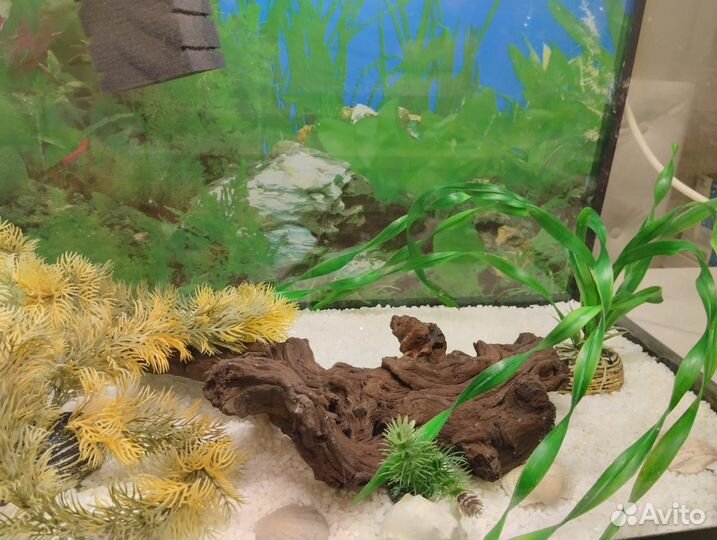 Аквариум на 70 литров