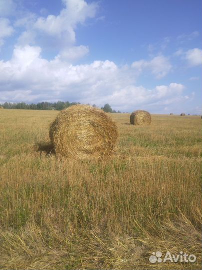 Солома большие рулоны