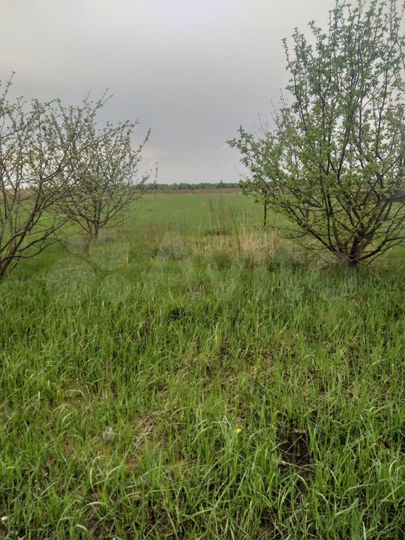 Участок 39 сот. (ИЖС)