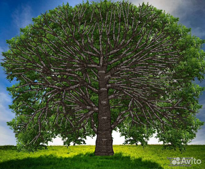 Создание генеалогического древа