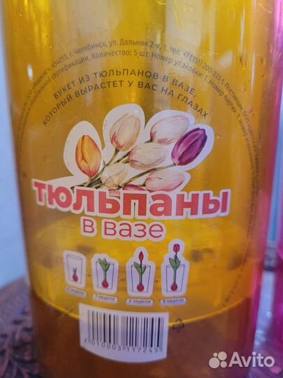 Вазы для выращивания луковичых растений