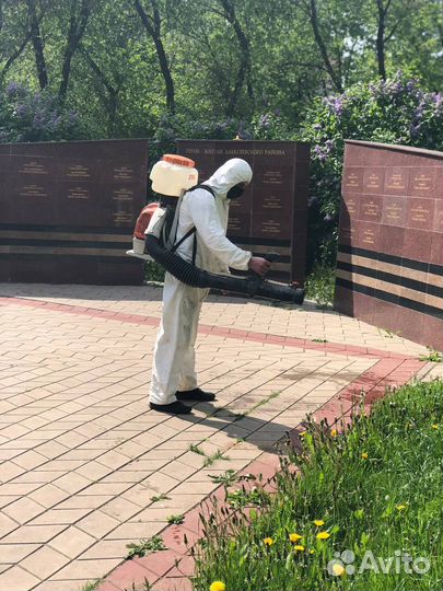 Устранение запахов табачного дыма, старости и др