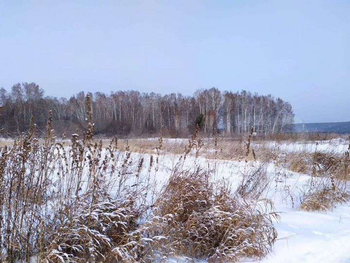 Участок 7 сот. (СНТ, ДНП)