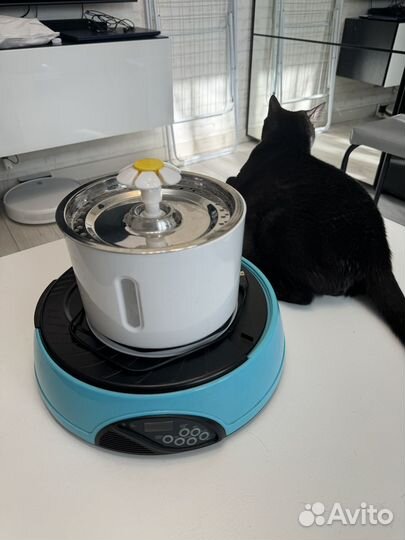 Автоматическая кормушка для кошек и собак