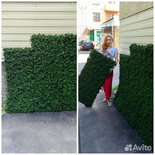 Панели картины, стены, перегородки из мха ягель от