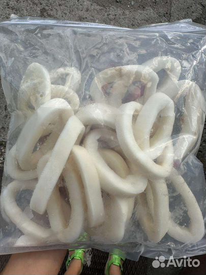 Кольца кальмара