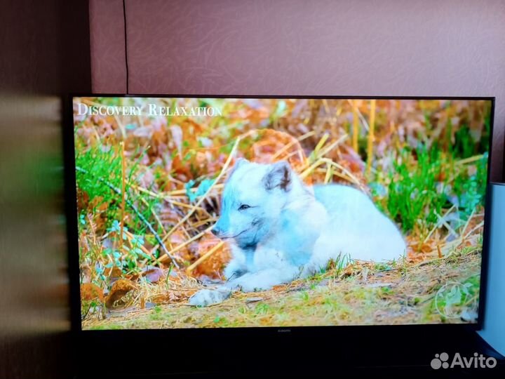 Телевизор Xiaomi MI TV A2 43