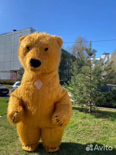 Ростовая кукла мишка 2,6,надувной костюм