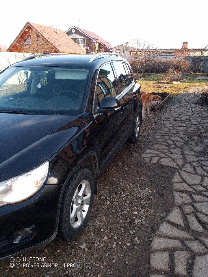 Volkswagen Tiguan: фото владельца