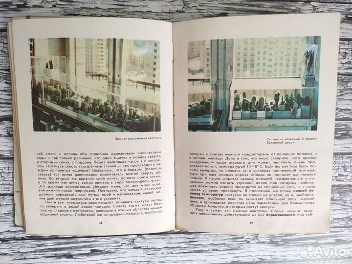 Книги о кактусах