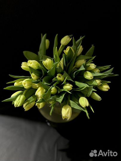 Тюльпаны пионовидные