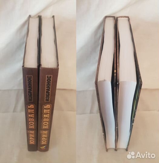 Коваль Ю.И. Избранные произведения (2 книги) -2001