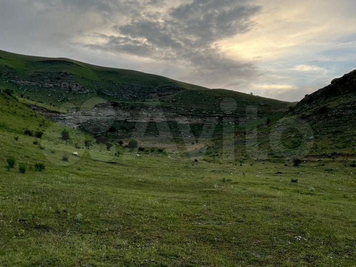 Участок 85 сот. (СНТ, ДНП)