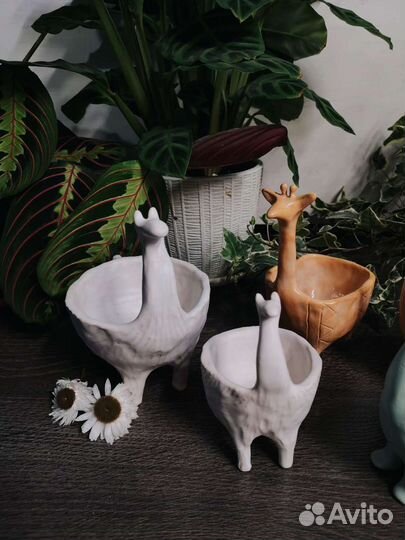 Керамические горшки и кашпо