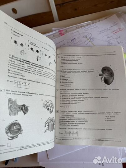 Сборник ОГЭ биология 2024