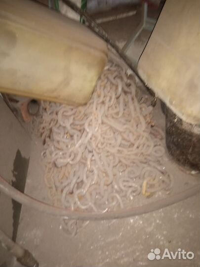 Цепи противоскольжения мтз