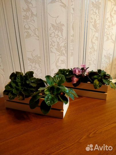 Ящик для цветов
