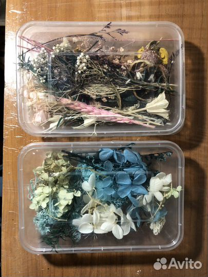 Сухоцветы для творчества