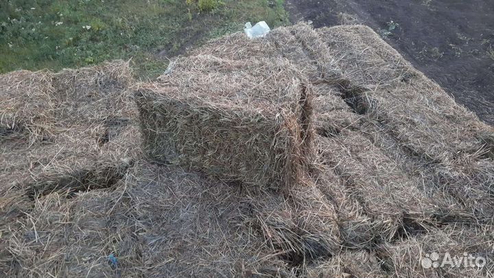 Сено в тюках,солома