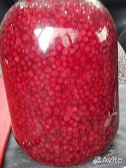 Брусника пареная