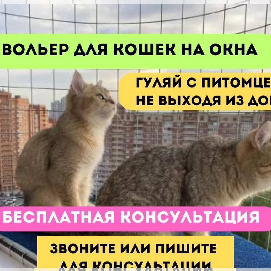 Балкон для кошек