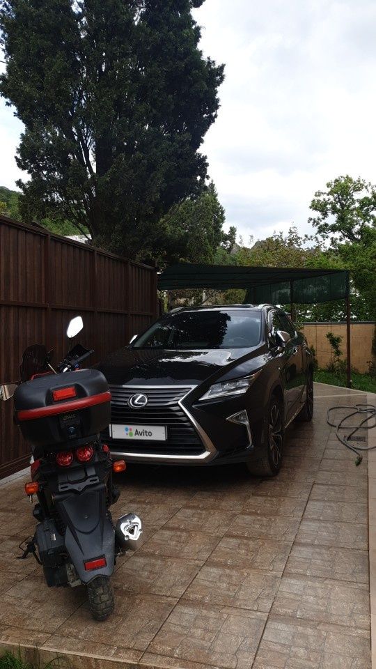 Lexus RX: фото владельца