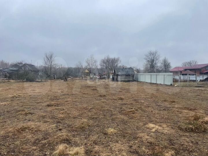 Участок 50,5 сот. (личное подсобное хозяйство (лпх))
