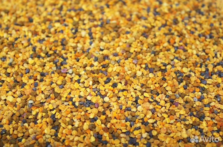 Пыльца пчелиная