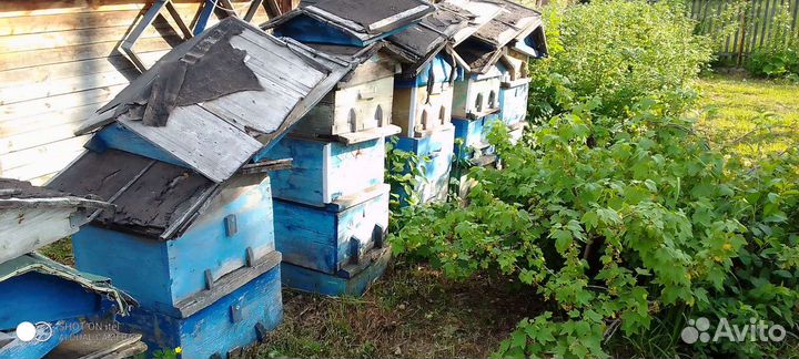 Улии 12 рамочные