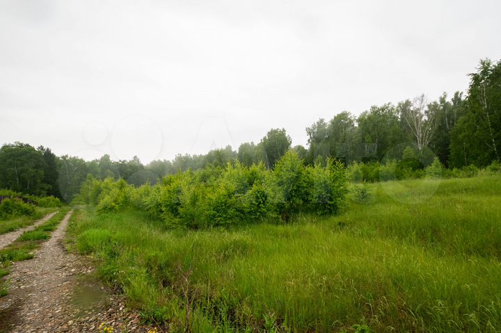 Участок 10 сот. (ИЖС)