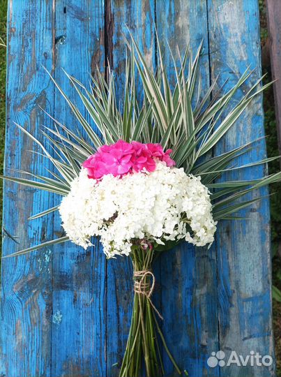 Живые цветы букеты
