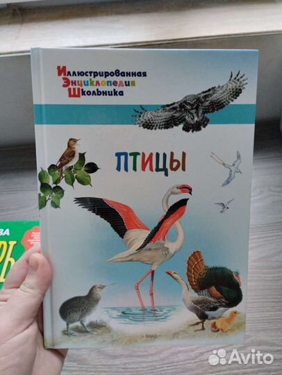 Детские книги для малышей