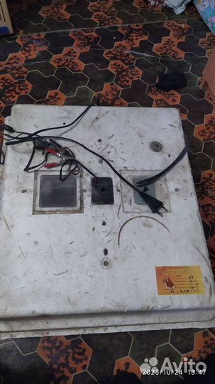 Инкубатор несушка