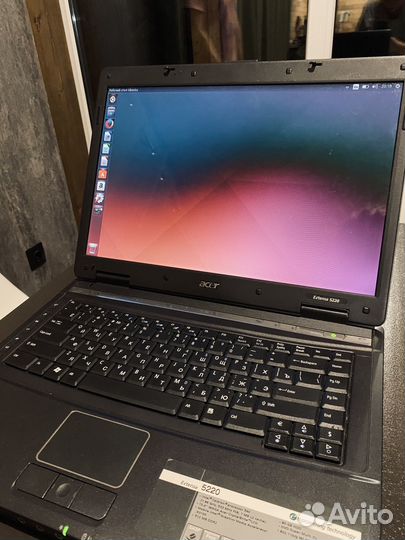 Acer