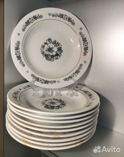 Тарелки зик яблоня, ежевика, роза СССР