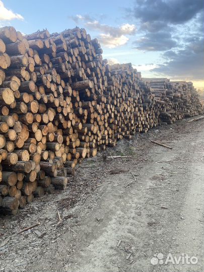 Продам лес кругляк 4 метра диметр 12-20