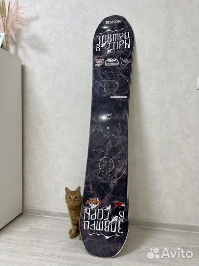 Сноуборд DC PLY 156 см