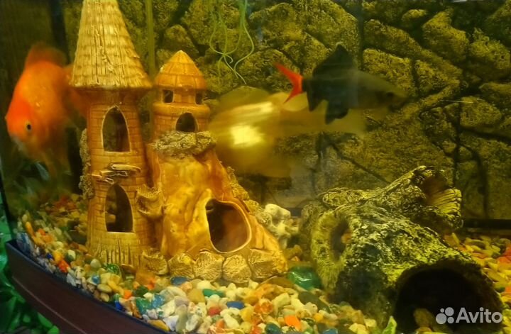 Аквариум Juwel Vision 180