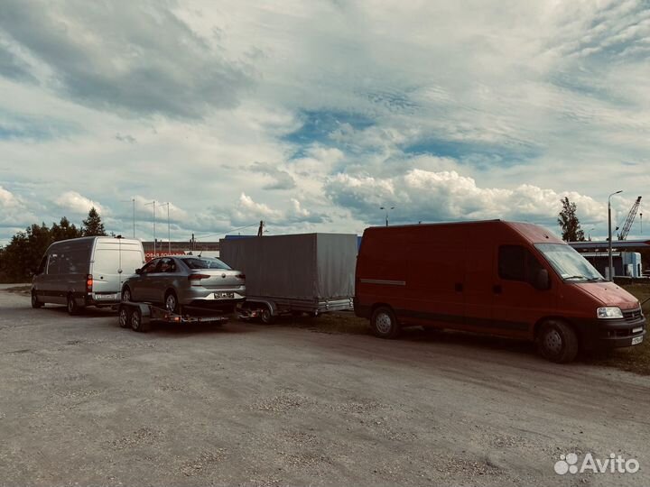 Псков-Санкт-Петербург (попутно), 5 раз в неделю