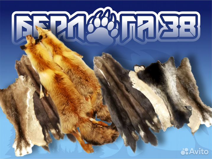 Шкуры диких животных