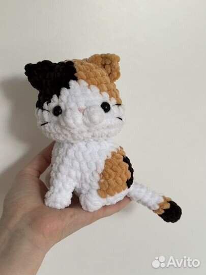 Котенок на заказ