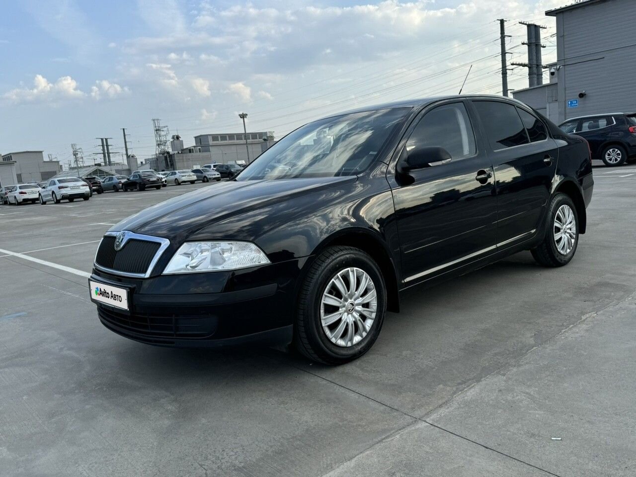Skoda Octavia: фото владельца