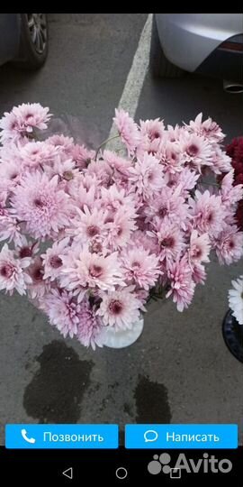 Букеты из хризантем