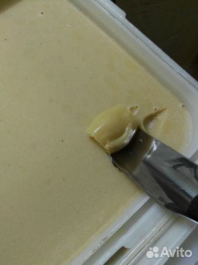 Цветочный мёд оптом от 34 кг