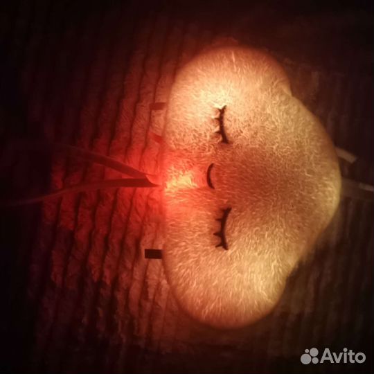 Проектор-облако fisher price