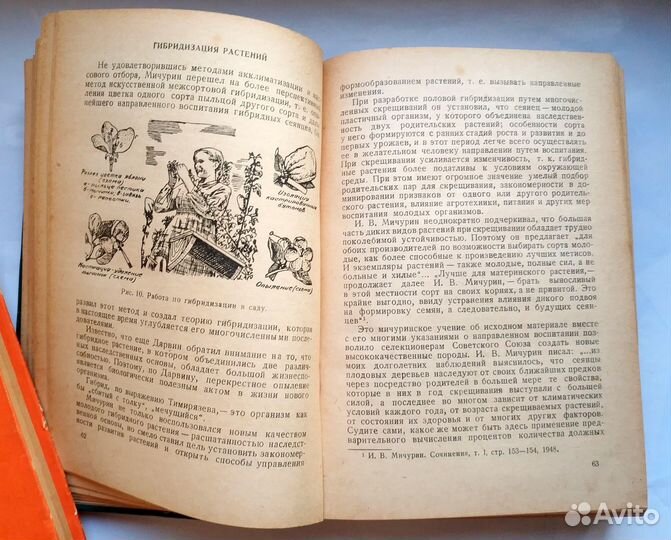 Колесников- Плодоводство Крыма Биология сорта 1951