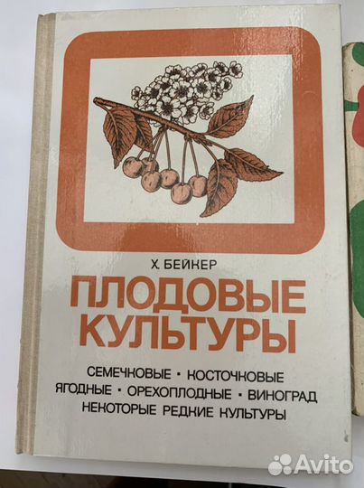 Книги СССР для дачников Дом Овощи Фрукты