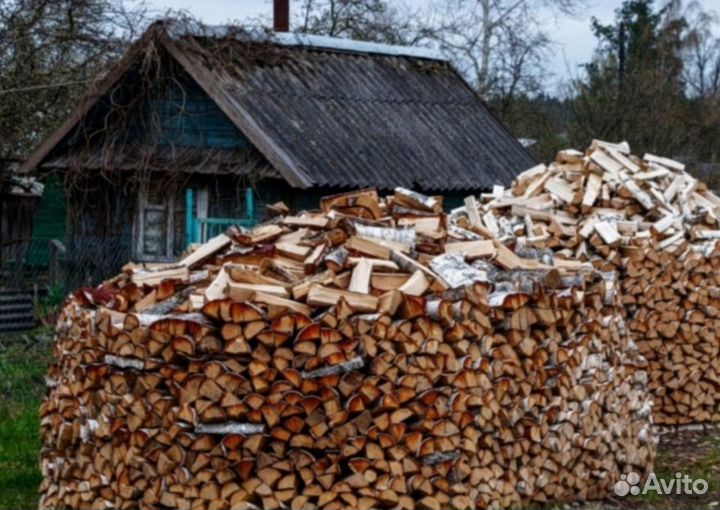 Дрова береза