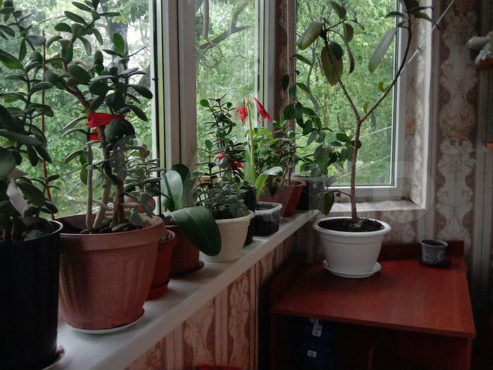 Комната 19,1 м² в 3-к., 3/3 эт.